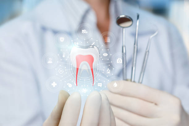 Professional Holistic Dental Care Services in Jonestown, PA